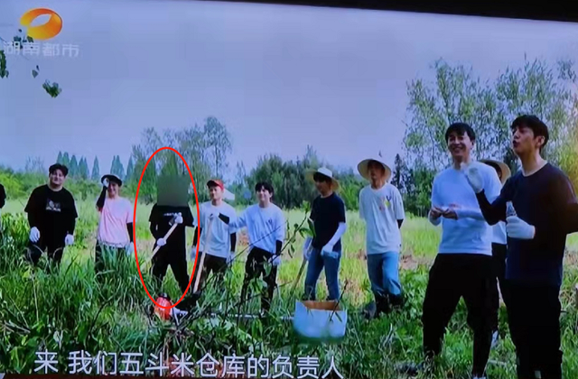 谢娜背后的故事，谢娜刘烨个人资料（失去“庇护”的快乐家族接连翻车）