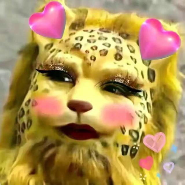 金钱豹头像图片，金钱豹头像✨微信（最全金钱豹头像！请叫我谢谢）