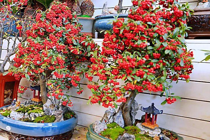 免费鲜花店名字任你选 鲜花店叫什么名字大全