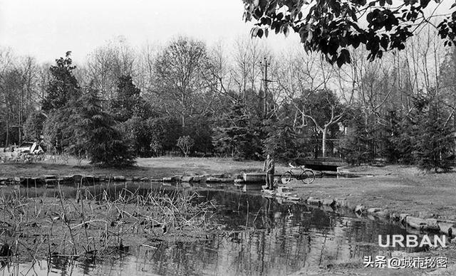 八载图片保护有哪些，八载图片保护怎么设置（西湖保护70年）