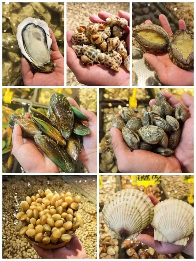 广州塔附近美食，广州塔附近有什么好吃的（从广州塔到番禺万达）