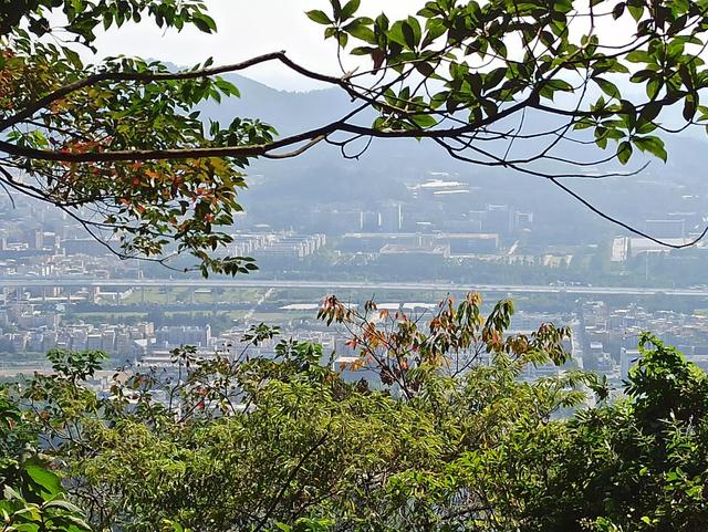 龙眼洞森林公园，广州龙洞森林公园介绍（广州徒步之渔龙线……）