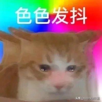鬼刀一开看不见，鬼刀一开看不见是什么梗（深夜从运动步数发现男友和小3去酒店）