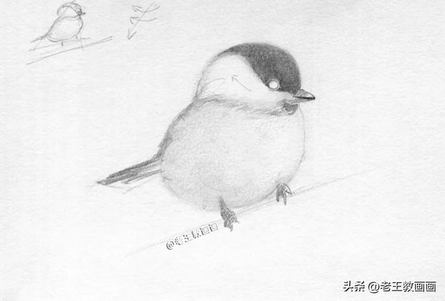 铅笔画入门教程，铅笔画萌少女入门教程（教你用铅笔画羽毛的质感）