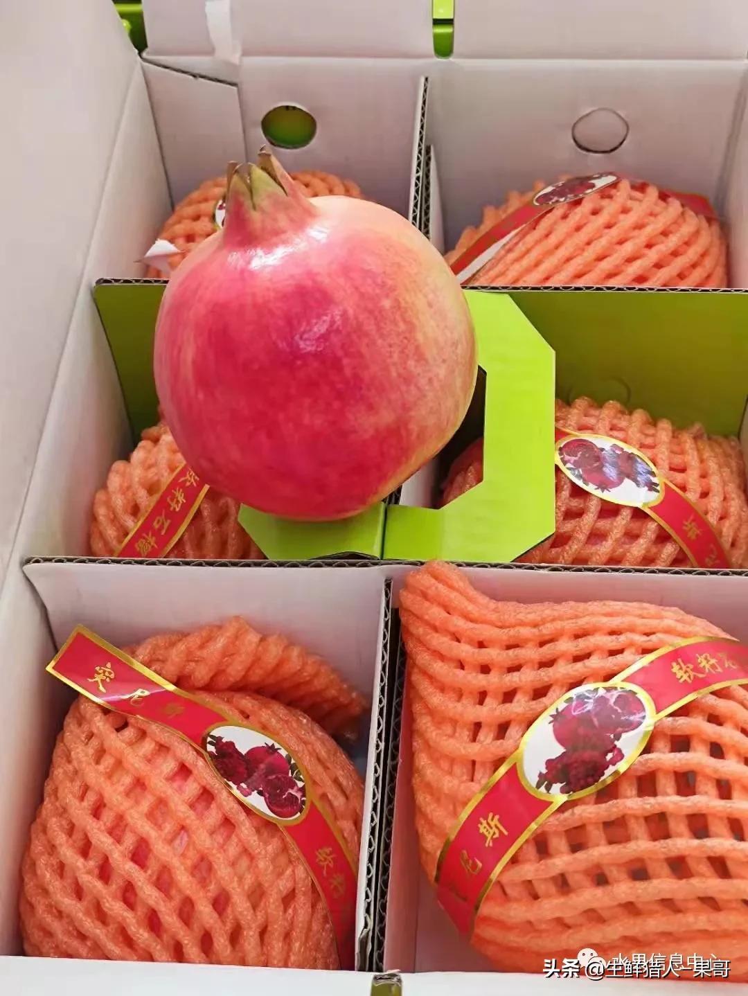 浆果是什么，浆果是什么软件（不同水果的不同包装<浆果篇>）