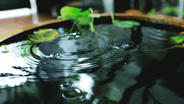 一场秋雨一场寒下一句，一场秋雨一场寒下一句是什么（一场秋雨一场寒）