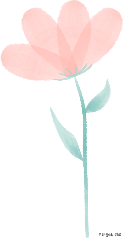 武汉市花是什么，武汉什么花是市花（三月的湖北全是花花花花花花）
