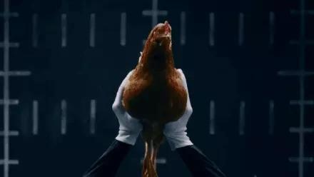  蜈蚣和蛇的毒哪个厉害，为什么身为五毒之一的蜈蚣 