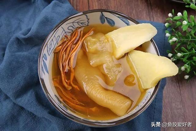 鱼胶的吃法大全，十全大补鱼胶食谱大全