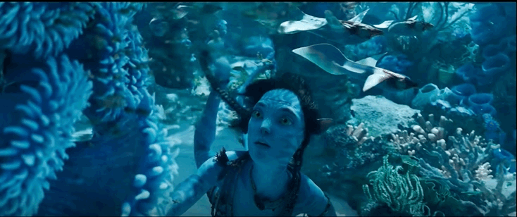 阿凡达简介，阿凡达简介100字（来，提前剧透下《阿凡达2》）