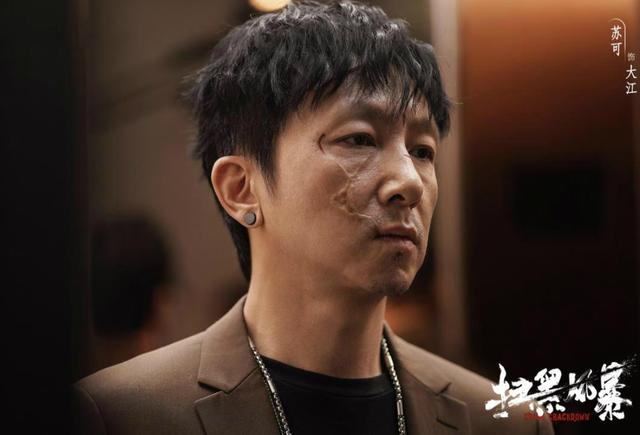苏可演的有哪些电视剧，把小人物演成代表作