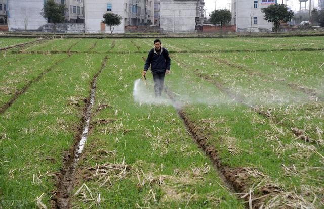 除草新方法，除草有效方法及具体操作（尿素+食盐真的能除草吗）