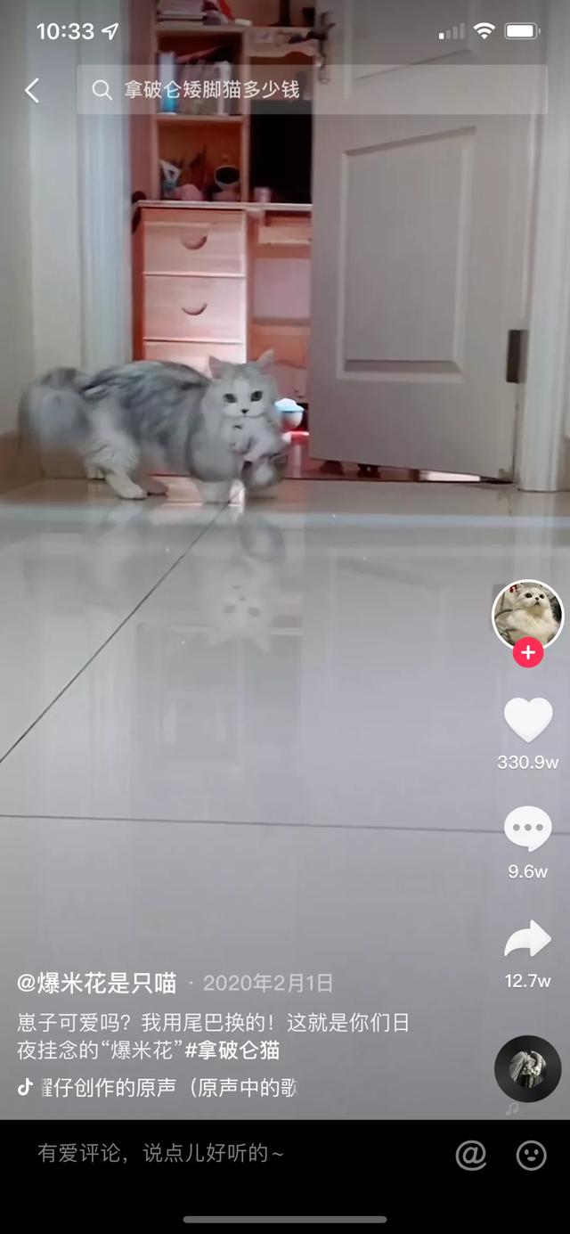 魔法哈奇怎么抓战宠，魔法哈奇怎么抓战宠视频（有一位以治愈系合集为主）