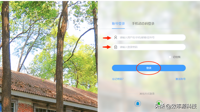 万方数据库免费，万方数据库如何免费下载（所有学生党相见恨晚的免费下载知网、万方论文技能）