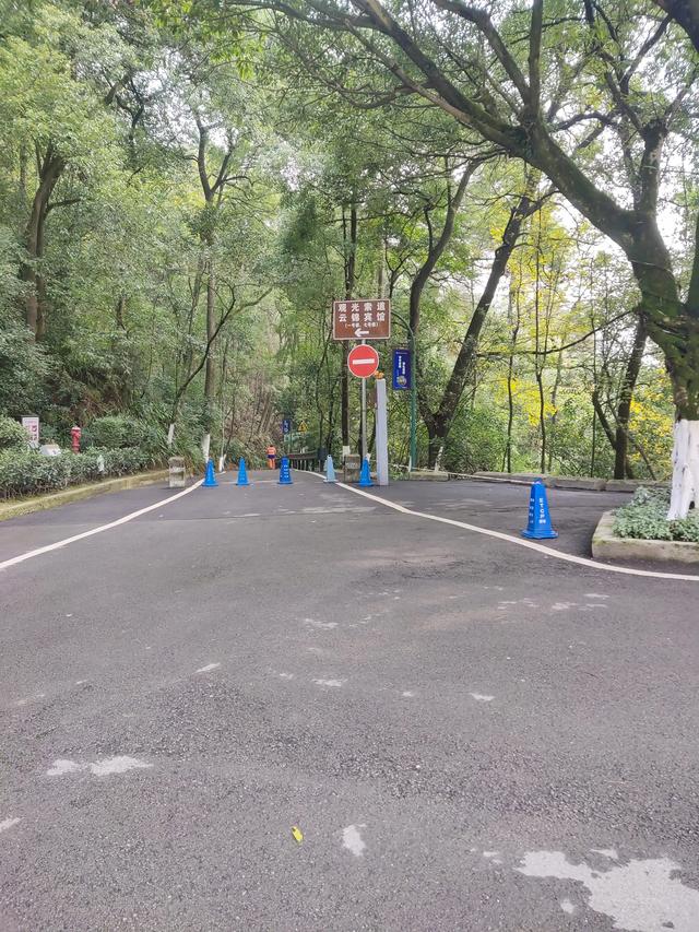 歌乐山森林公园，重庆旅游必去景点（歌乐山国家森林公园）