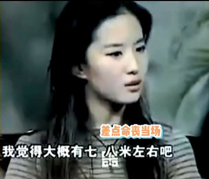 "神仙姐姐"刘亦菲：外貌出色被挖掘，后拍戏太过敬业，多次险丢命