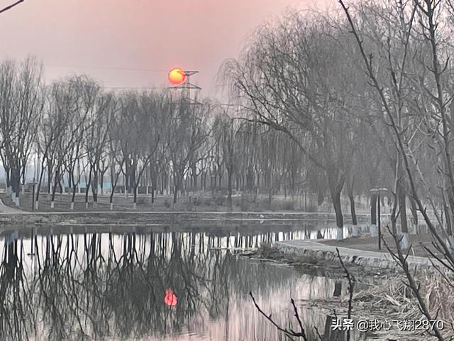 等待绽放作文高三700字 等待绽放的优秀作文，等待绽放作文高三700字（漫画作文：静待花开）