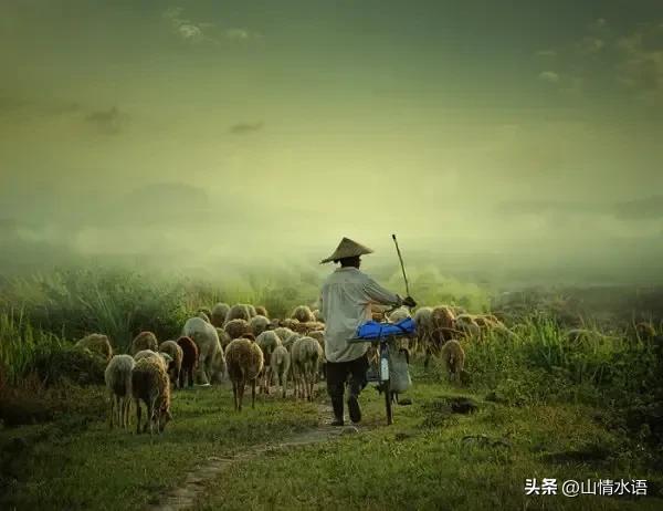 乡下岁月的情感美文，关于乡情的随笔（乡村晨景）