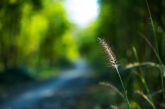 七月再见八月你好图片，2022年七月再见（七月再见，八月你好）