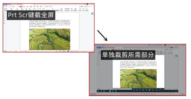 pdf怎么截图，如何把PDF里面的内容快速截图（全网PDF转图片的所有可行方法）
