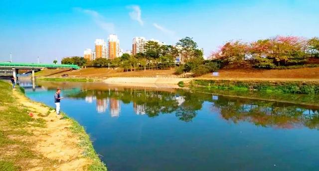 深圳哪里可以钓鱼，深圳哪里可以钓鱼野点更好高分哦（深圳这3个地方免费钓鱼）