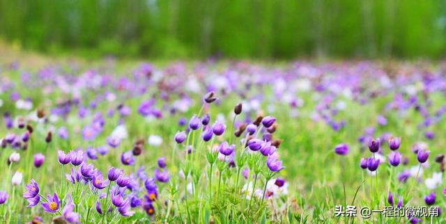 什么叫优越感，什么叫优越感理论（满屏溢满的优越感）