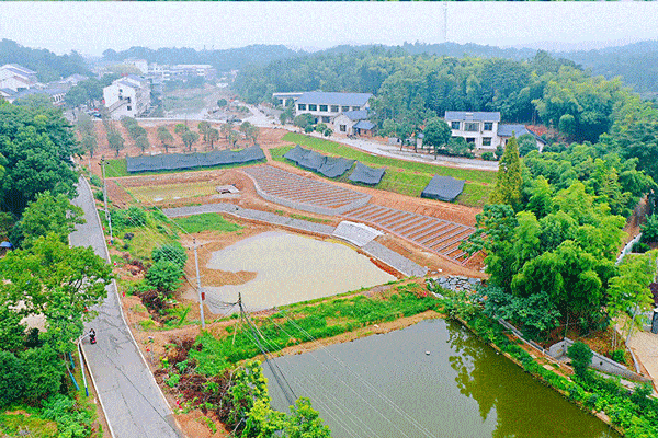 长沙自驾游攻略，长沙旅游攻略最佳路线推荐自驾游（藏在长沙近郊的“大观园”）