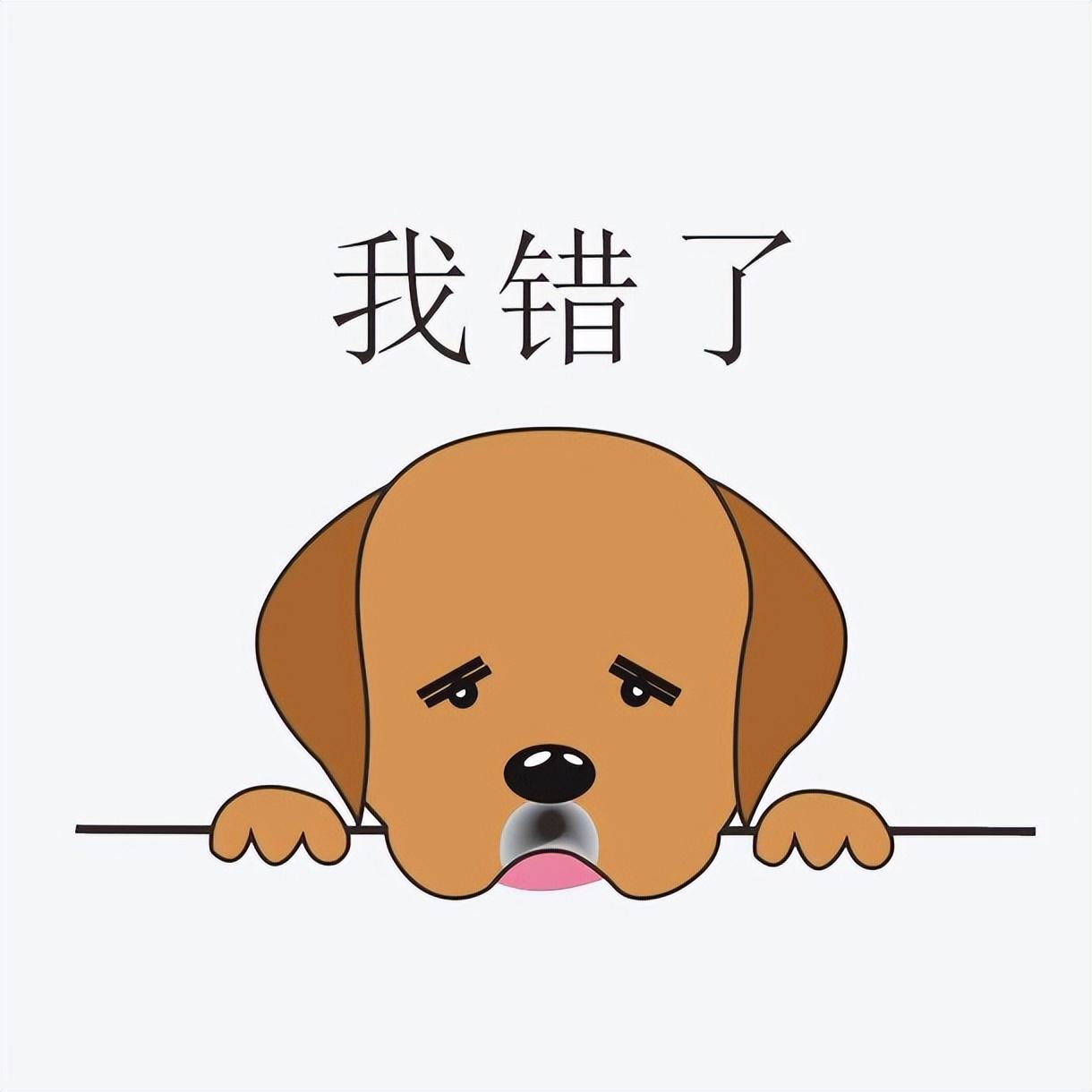 五,要洗澡时猫咪:我不洗,说什么都不洗,你离我远一点好吗!