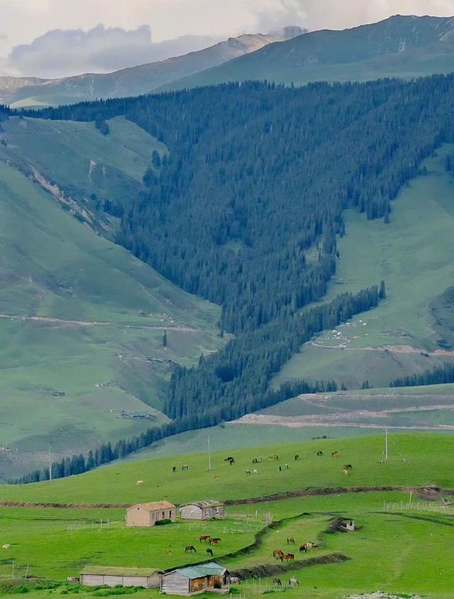 微信状态背景视频，微信怎么做状态背景视频（<有教程和配套农场状态背景图>）