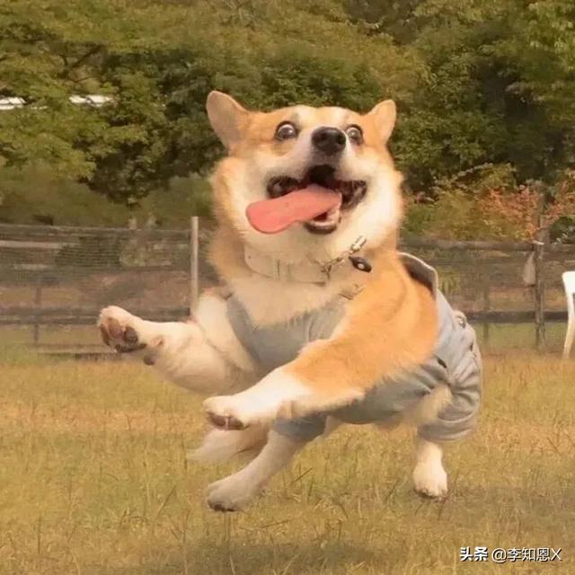 抱猫的女生头像，乔：可爱抱猫女头 人刚认识的时候总是拘谨中带着温柔微信（有趣可爱的情侣头像啊）