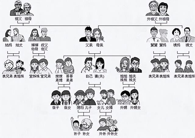 家谱关系图片大全图片