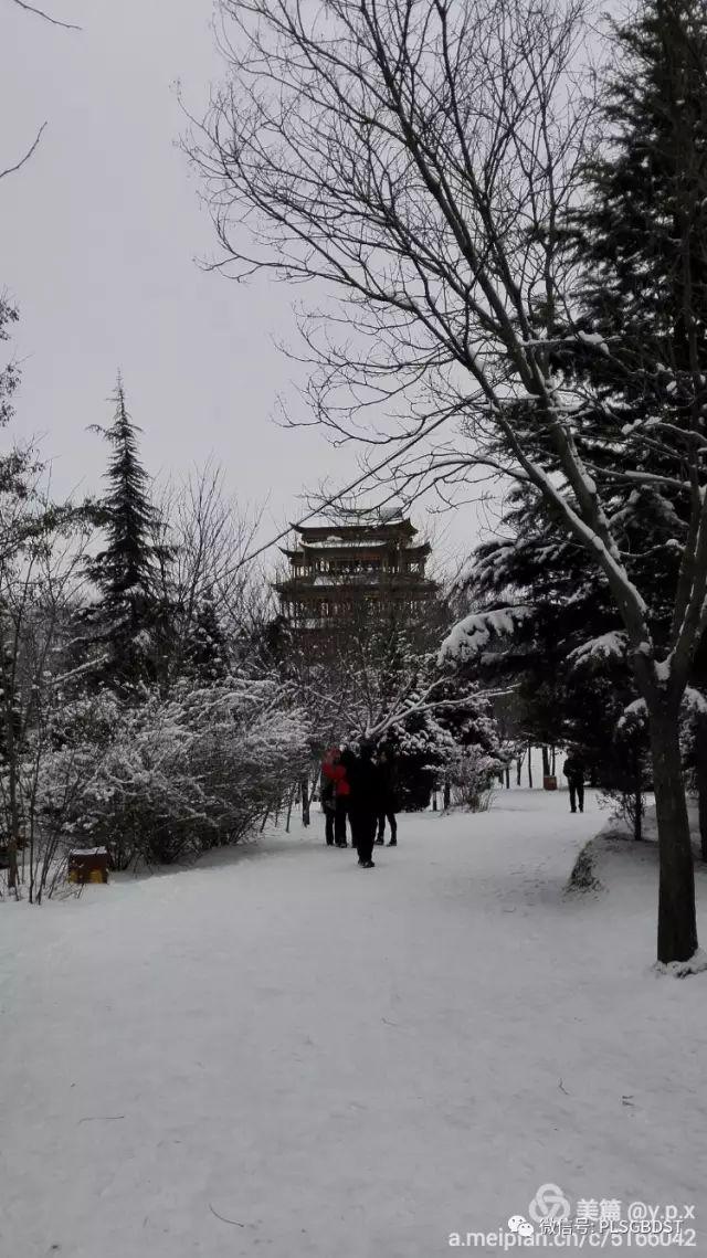 南山公园在哪里，深圳大南山公园开放时间（这是你们熟悉的那个南山公园吗）