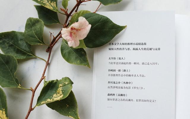 日本推理小说书目推荐，日本推理的书（原来这些日本文学大师也写过推理小说）