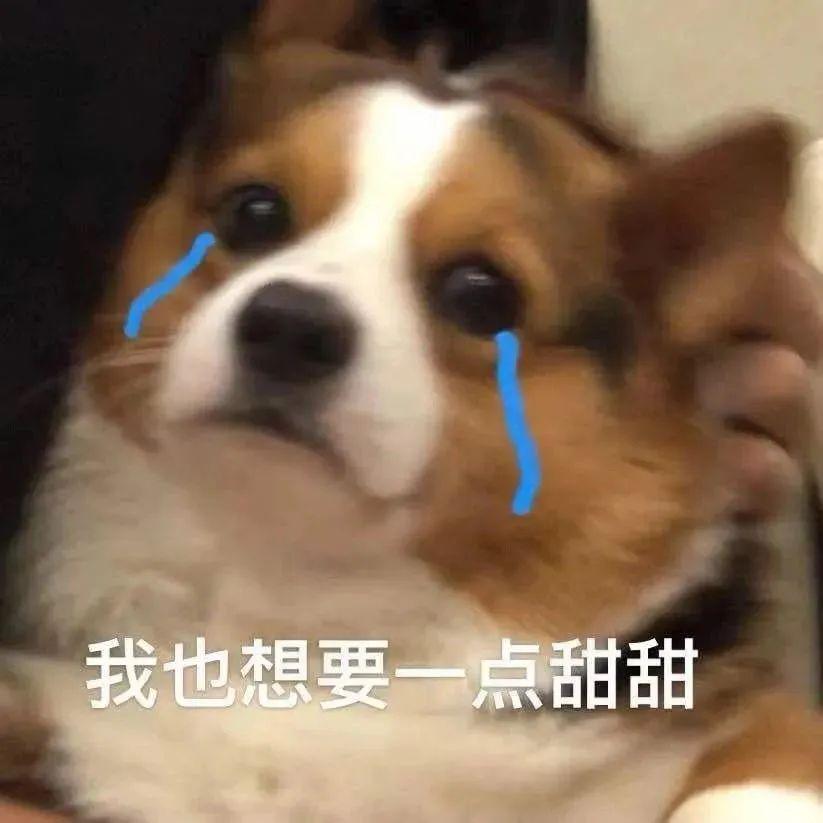 最近很火的表情包(网上超火的表情包)