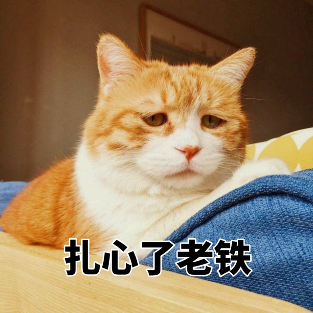小红书赚钱怎么赚钱一些扎心的大实话