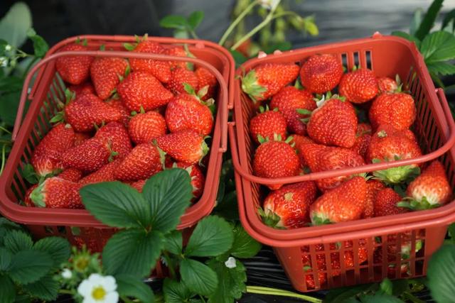 汉中旅游景点排名推荐，汉中旅游景点大全排名榜（在汉中一年四季可以这样玩 →）