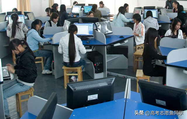 公共管理类专业有哪些，公共管理类包含的专业有哪些（十大最热门的“专科专业”）