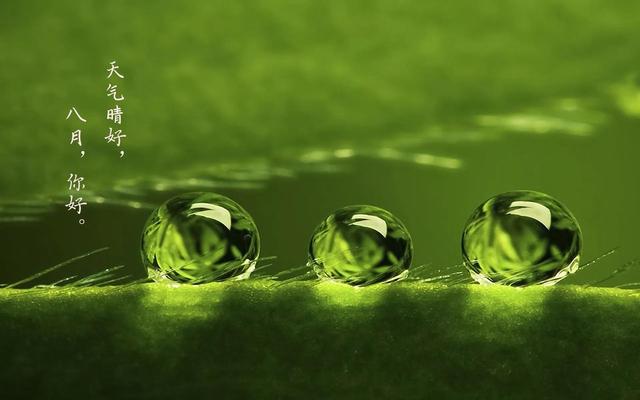 关于八月的唯美句子，关于八月的简短唯美句子（八月你好祝福问候唯美句子）