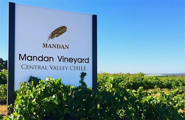 红葡萄酒的制作方法，葡萄酒的制作方法——红葡萄酒的制作方法（深度解答“新旧世界”葡萄酒的制作方法）