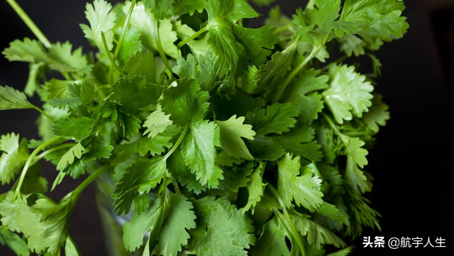 腌青辣椒的做法和食用价值，腌青辣椒的腌制方法（全家人都夸你是大厨）