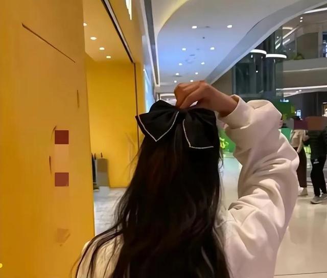 蝴蝶的外形特点描写简单介绍，蝴蝶的外形（那只美丽的黑蝴蝶）