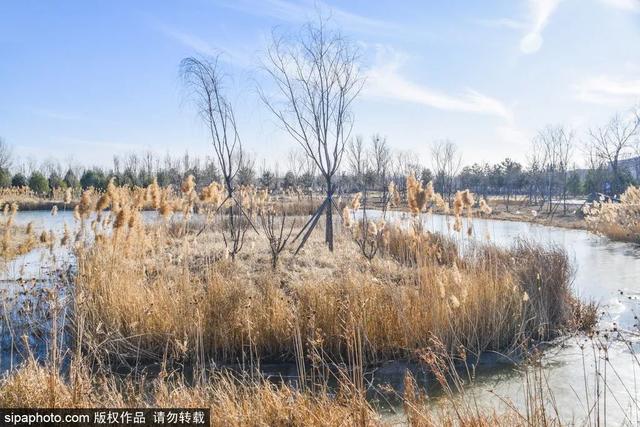 秋冬北京好玩的地方推荐一下，去京城这4个宝藏公园欣赏冬日美景