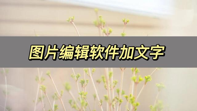 动态文字制作软件，如何用PS制作动态文字（图片编辑软件加文字）