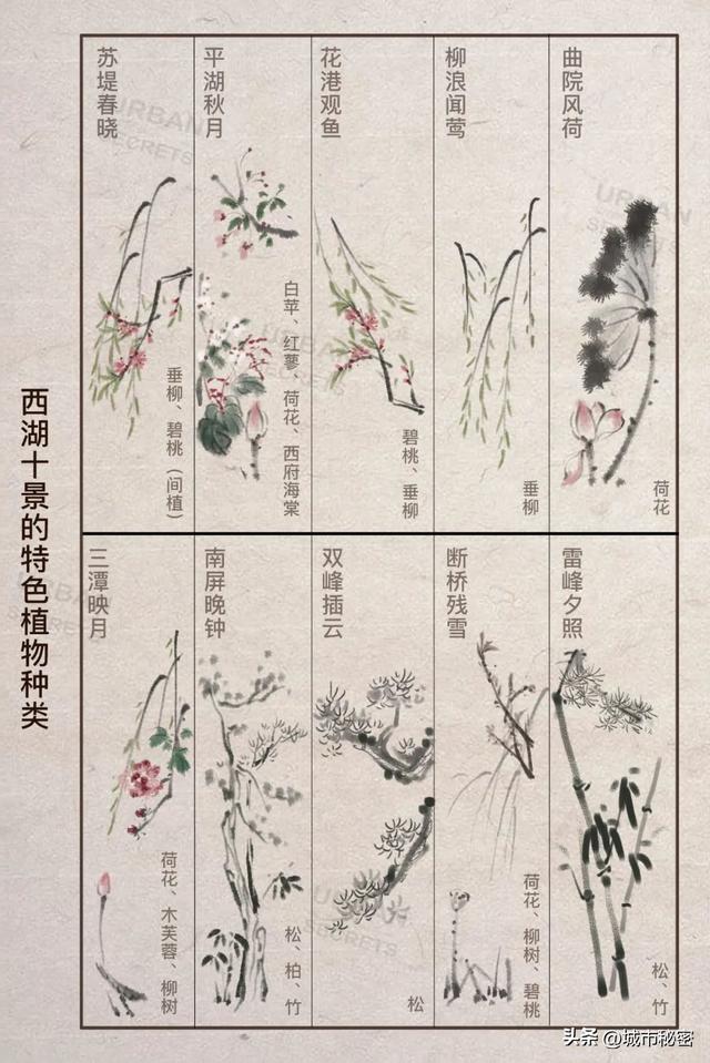 八载图片保护有哪些，八载图片保护怎么设置（西湖保护70年）