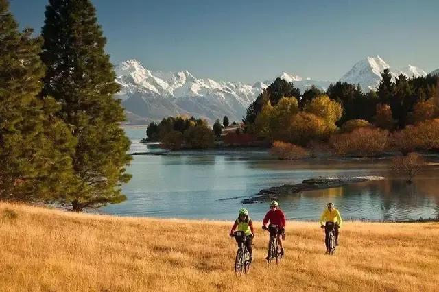 秋天是一个什么样的季节，秋天是一个什么样的季节写一段话（分享绝美秋色：叠翠流金）