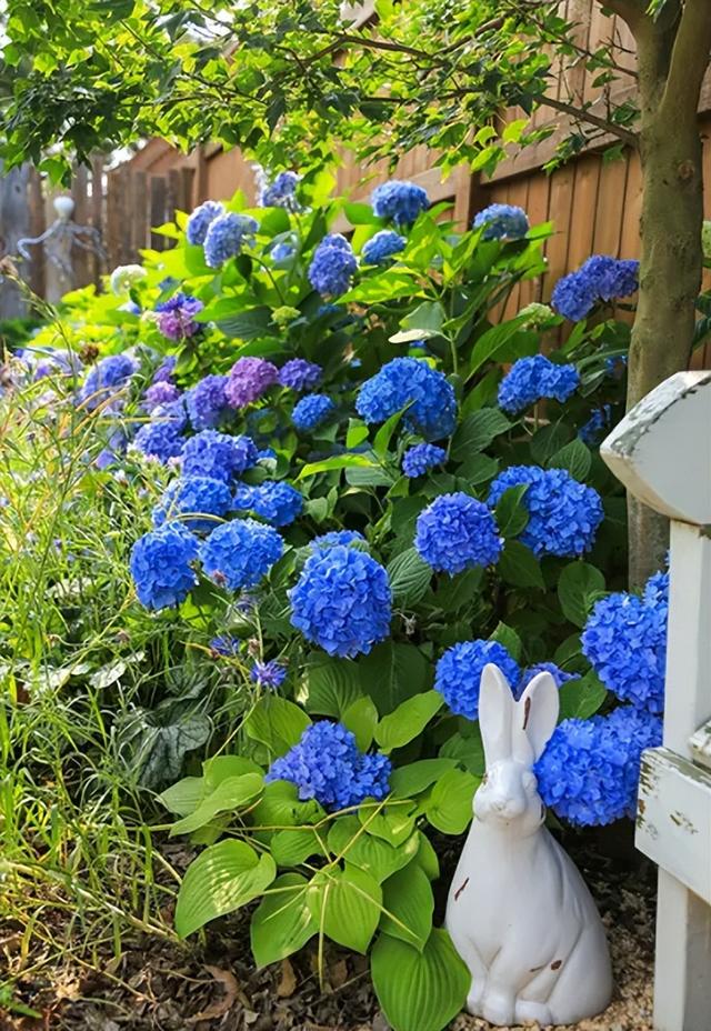 什么葱茏四字词语，关于葱葱茏茏的词语（有关仲夏的古诗词）