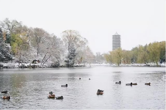 手写背景图＋壁纸｜考研考试上岸，手写背景图高清（我有一张至今舍不得删掉的考研备考照片）