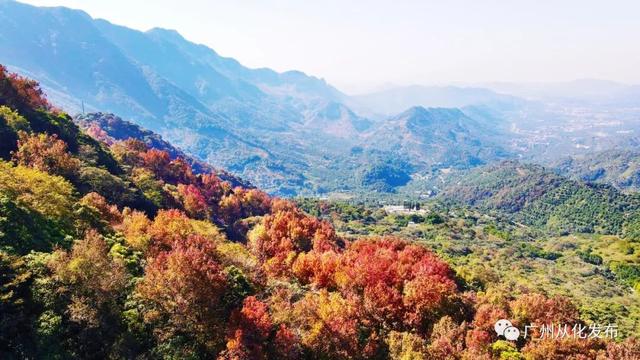 广州石门公园景点，赏红叶首选，当属从化石门