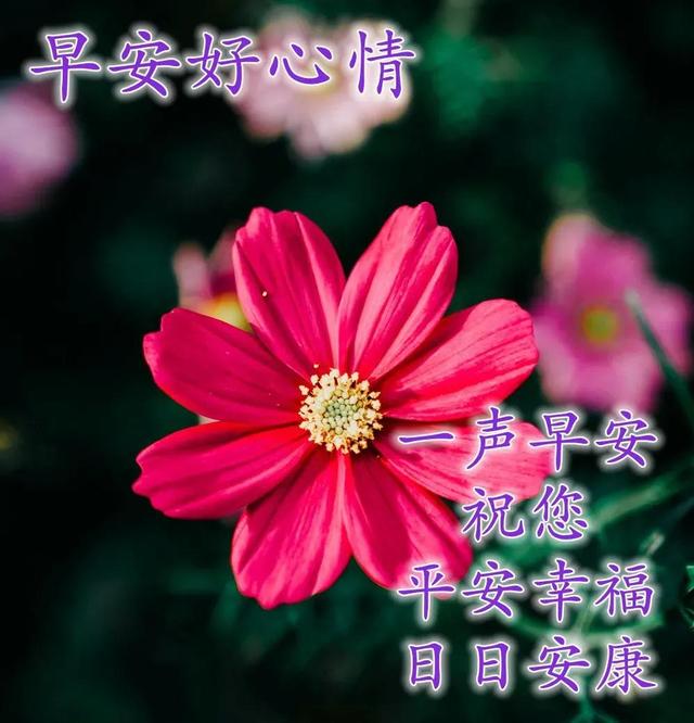 祝福自己的话简短，装满我所有的祝福/好运/健康和快乐