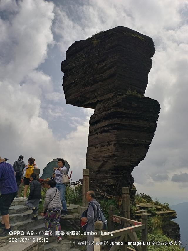 黔南布依族苗族州，娃娃鱼图片大全大图